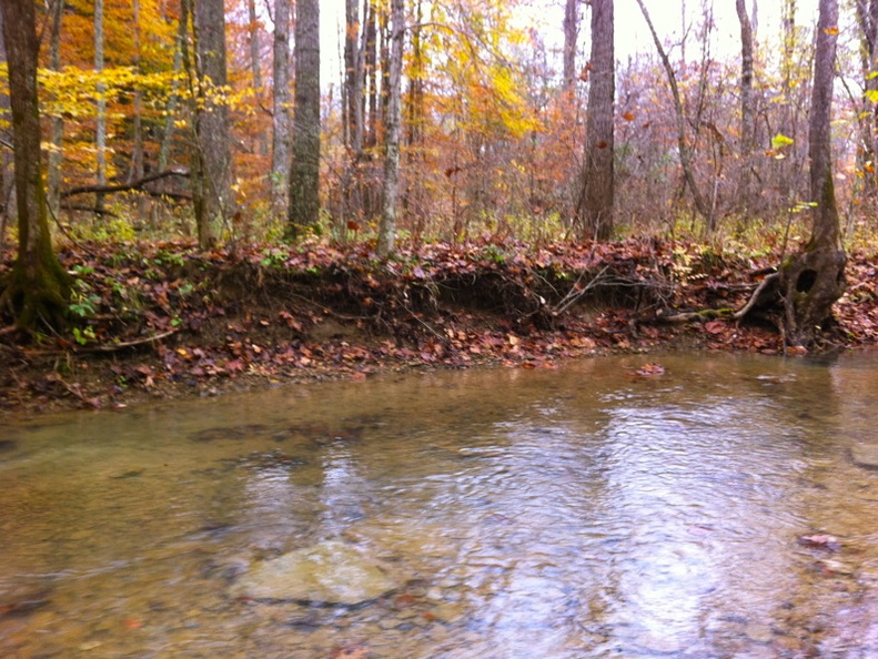 Sheltowee Trace, Clear Creek Furnace - 18